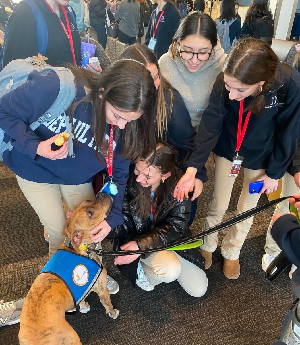 Dog therapy helps students destress during finals